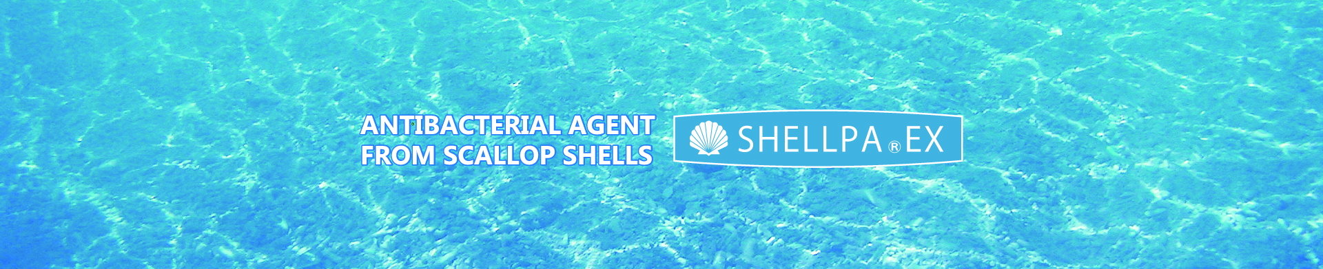 ホタテ貝殻抗菌剤・抗菌バッチ・卵殻配合樹脂・ヒトデ忌避剤・抗菌まな板　日本PDI株式会社