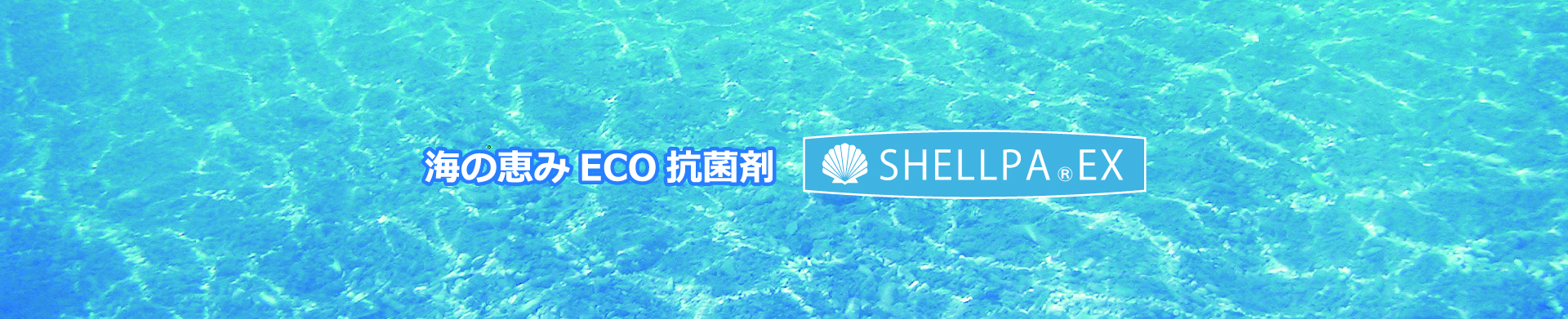 ホタテ貝殻抗菌剤・抗菌バッチ・卵殻配合樹脂・ヒトデ忌避剤・抗菌まな板 日本PDI株式会社